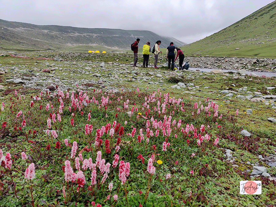 Ashtaar Valley Trek